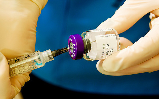 祝ノーベル賞受賞！わんちゃん達の命を救うフィラリア予防薬の元となったエバーメクチン